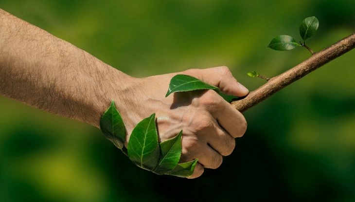 Aceite respetuoso con el medio ambiente Aceite respetuoso con el medio ambiente